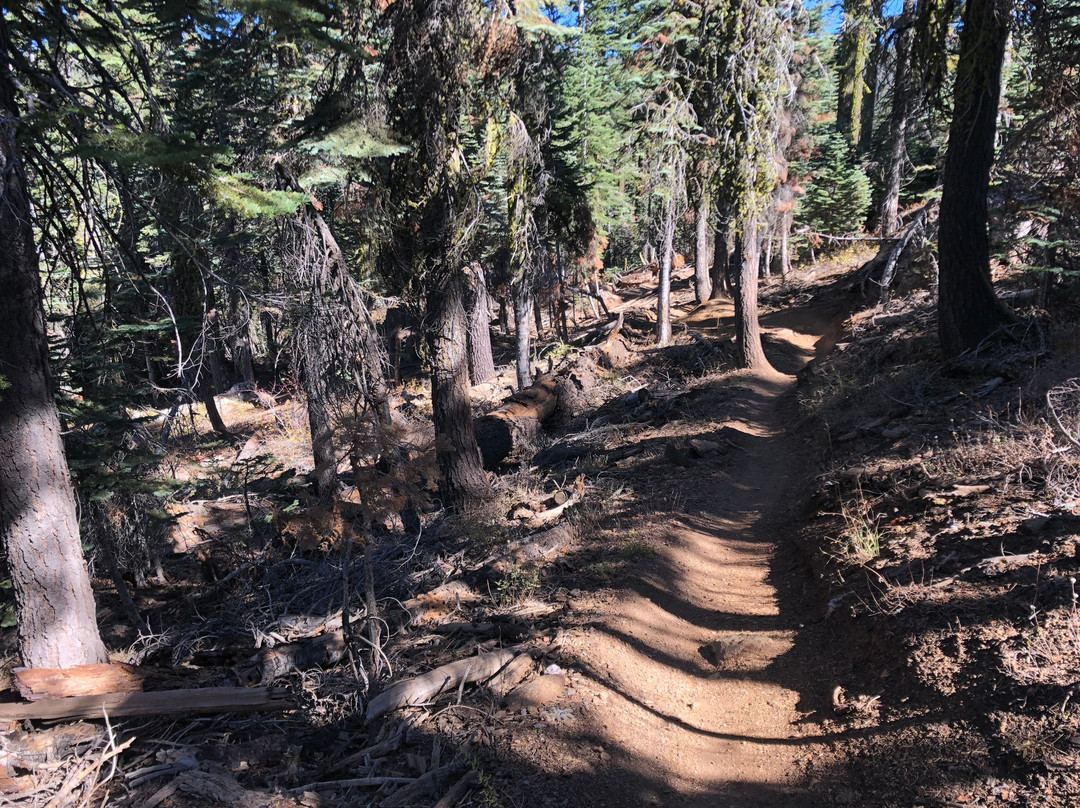The Downieville Downhill-Downieville必去景点