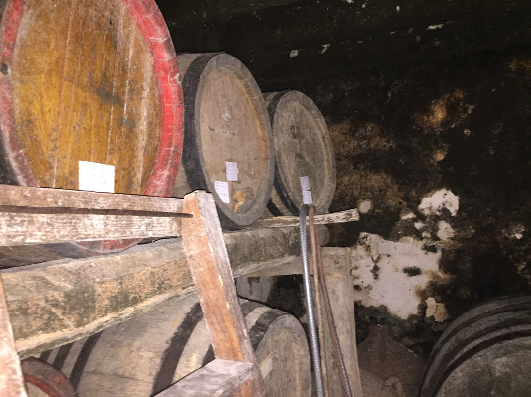 Vinarija Jovic景点图片