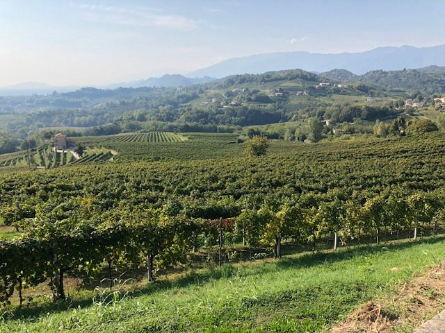 Il Sentiero Naturalistico di San Pietro di Feletto景点图片