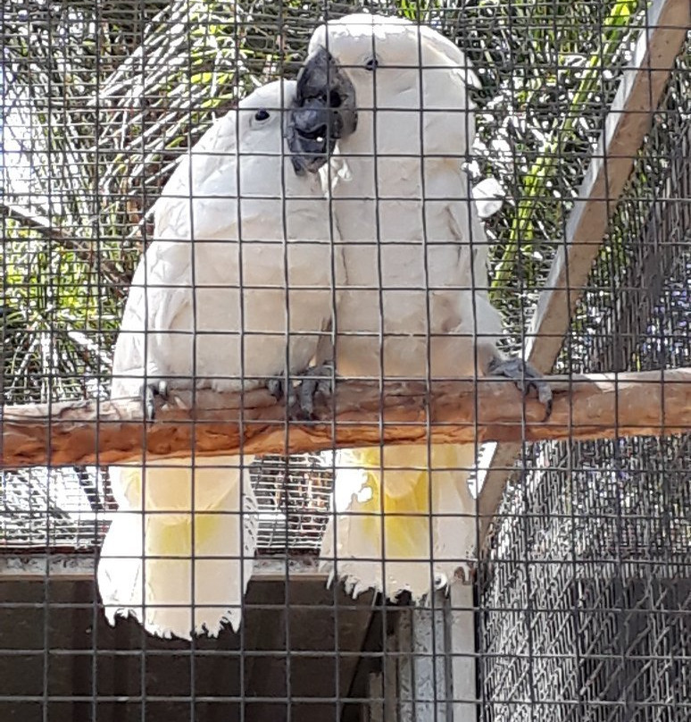Birds Paradise-Robertson必去景点