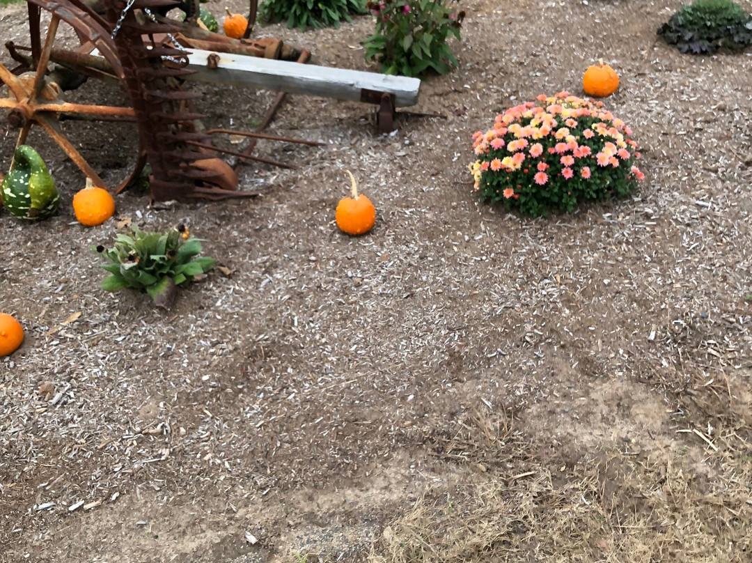 Rosedale Farms & Vineyards-锡姆斯伯里必去景点