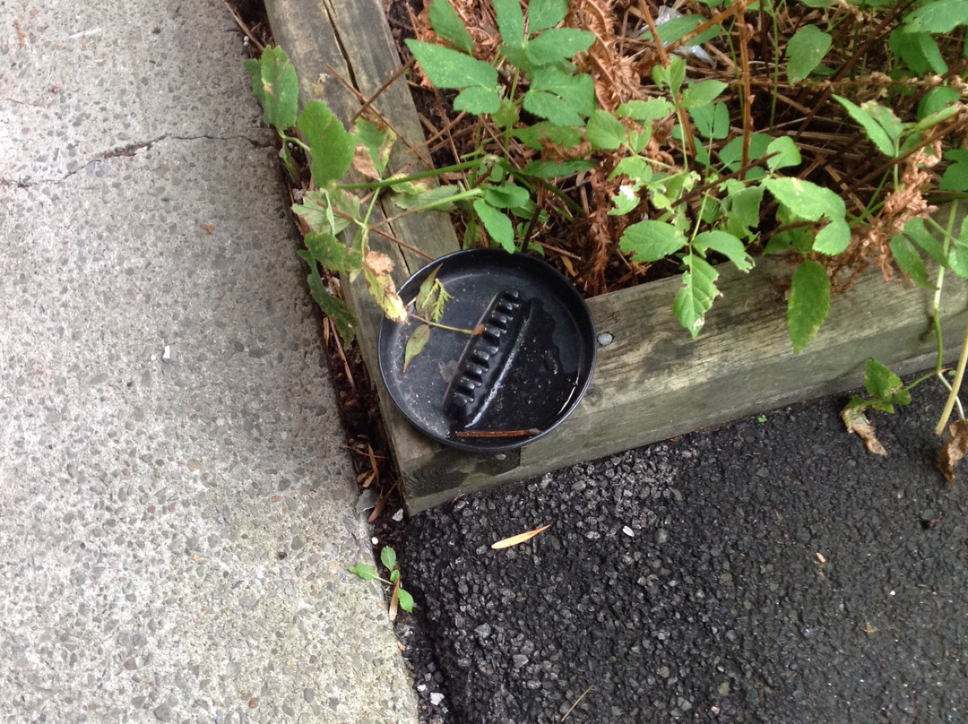 Chalets Beaconsfield Motel主图