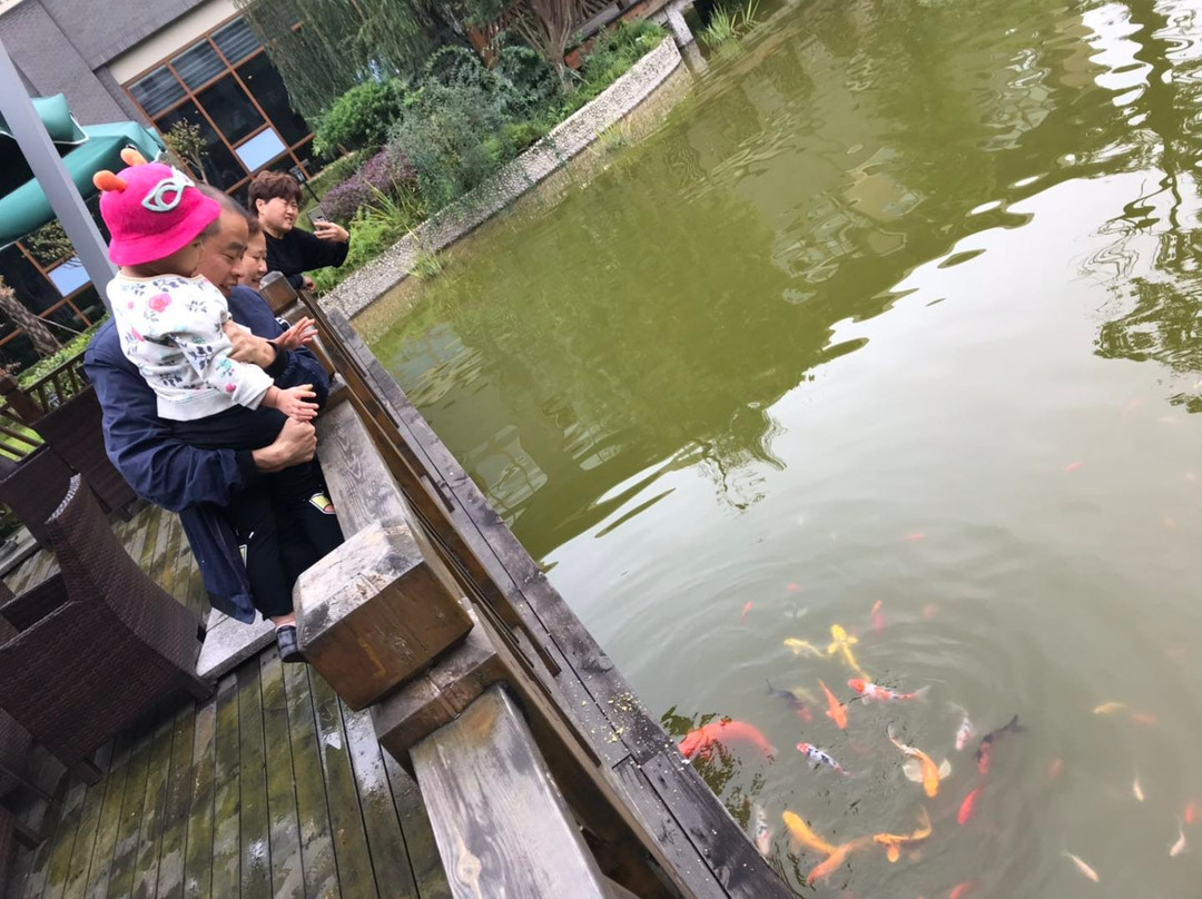 成都安仁福朋喜来登酒店主图