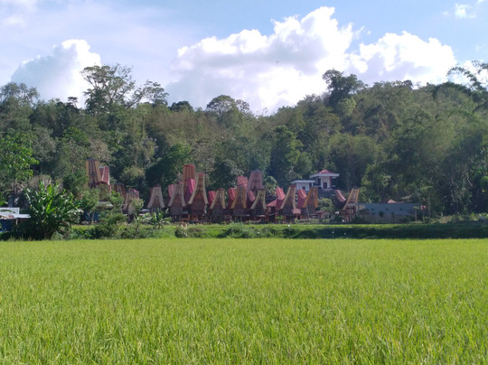 Sulawesi Culture Tour With Local-Tana Toraja必去景点