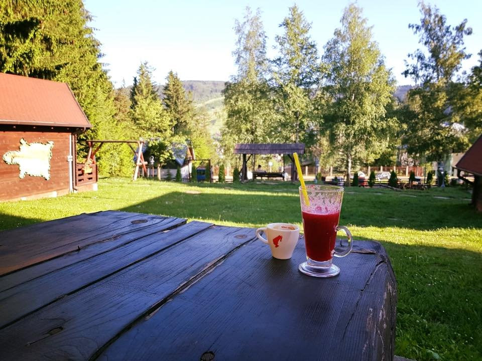 Mestecanis酒店住宿-Pension Vanatorul