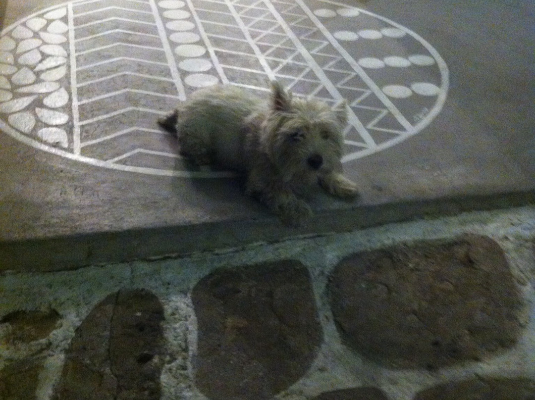 Arzantiera-Kimolos必去景点