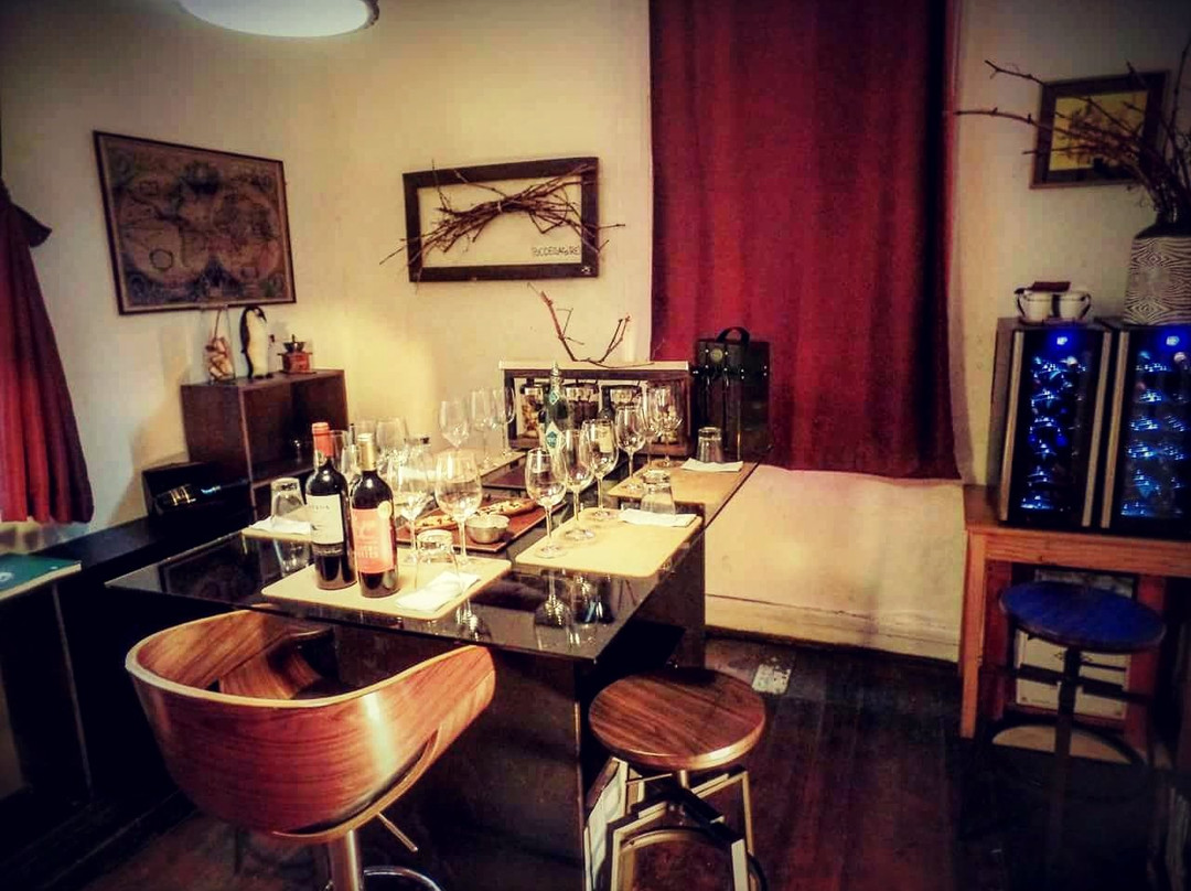 Valparaiso Wine Tours-瓦尔帕莱索必去景点