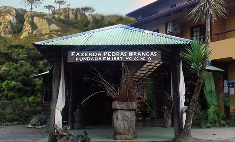 Fazenda Pedras Brancas Turismo Rural-浴室