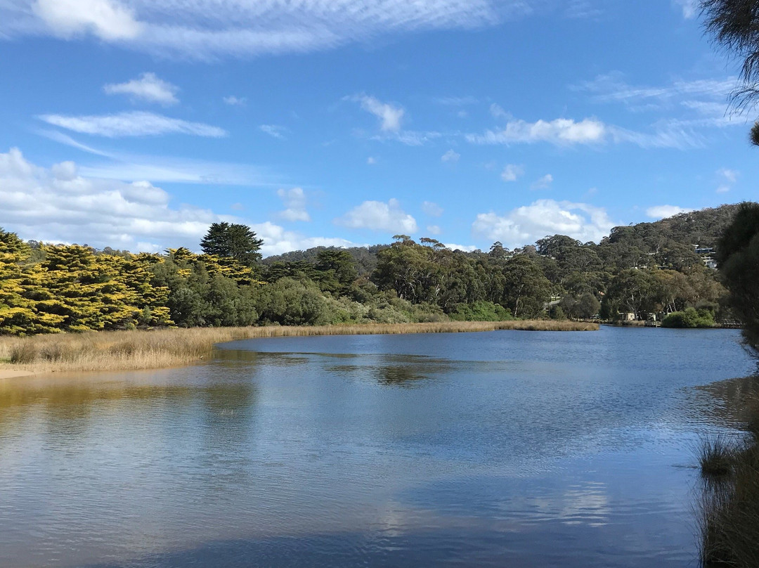 Lorne Swing Bridge-洛恩必去景点