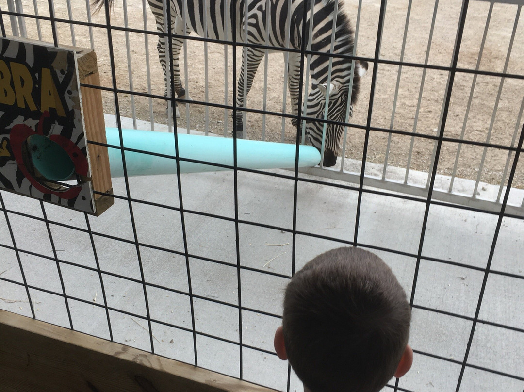 Monsoon Lagoon Water Park-克林顿港必去景点