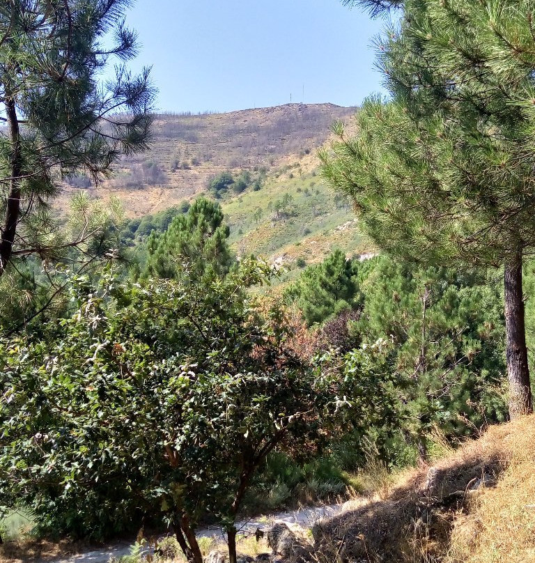 Parque de Campismo do Piao
