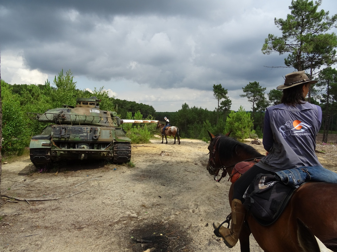 Parigne Cheval Aventures景点图片