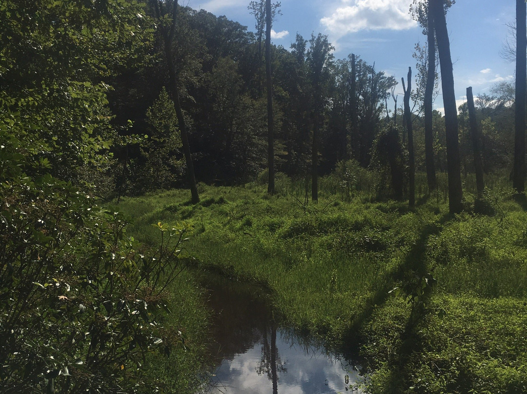 Smallwood State Park-Marbury必去景点