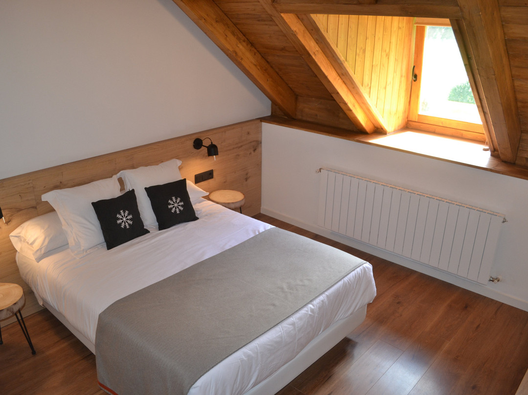 Esterri d'Aneu酒店住宿-洛帕耶尔酒店