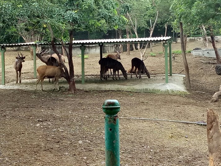 Pradyuman Park-杰拉果德必去景点