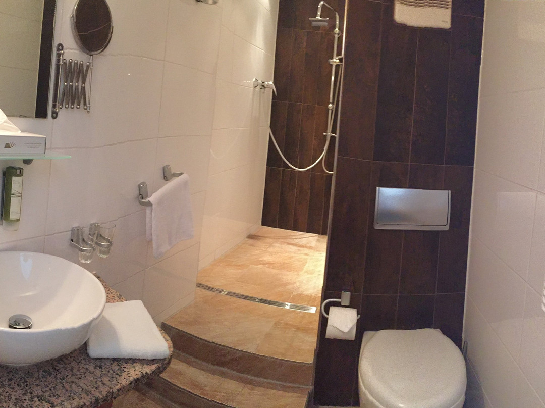 Manufaktur Hotel Stadt Wehlen主图
