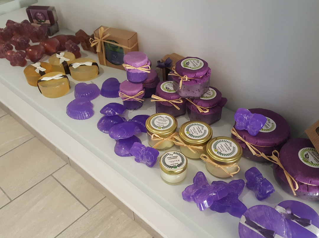 Souvenir Shop景点图片