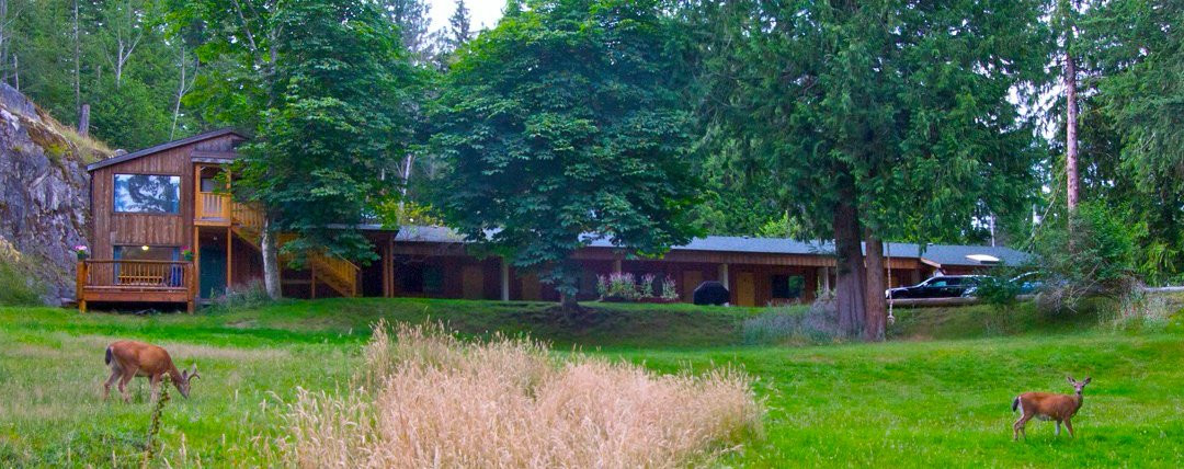 Cortes Island Motel主图