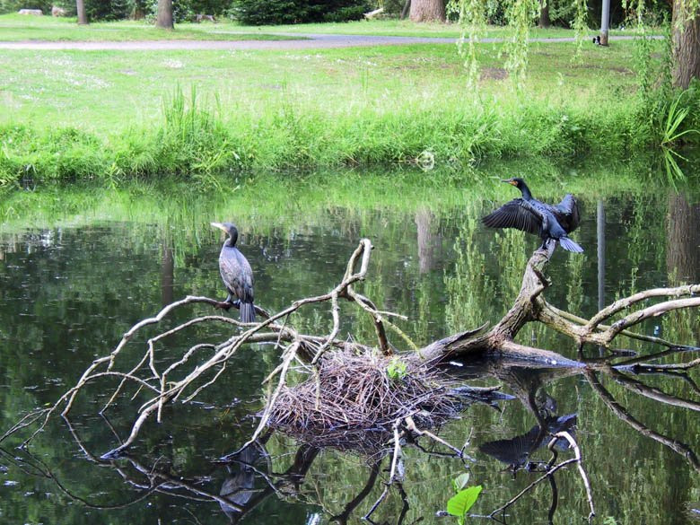 Gijsbrecht Aemstelpark-阿姆斯特丹必去景点