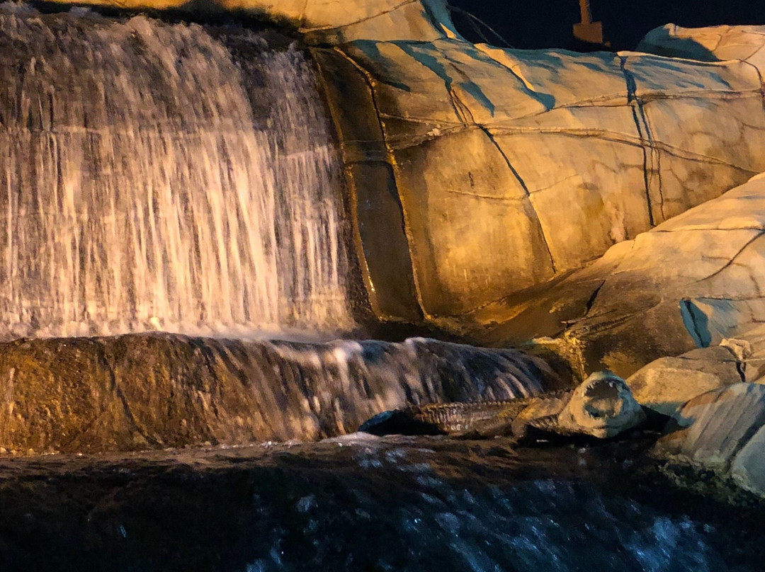 金银岛探险高尔夫球场-奥克兰中心地区必去景点