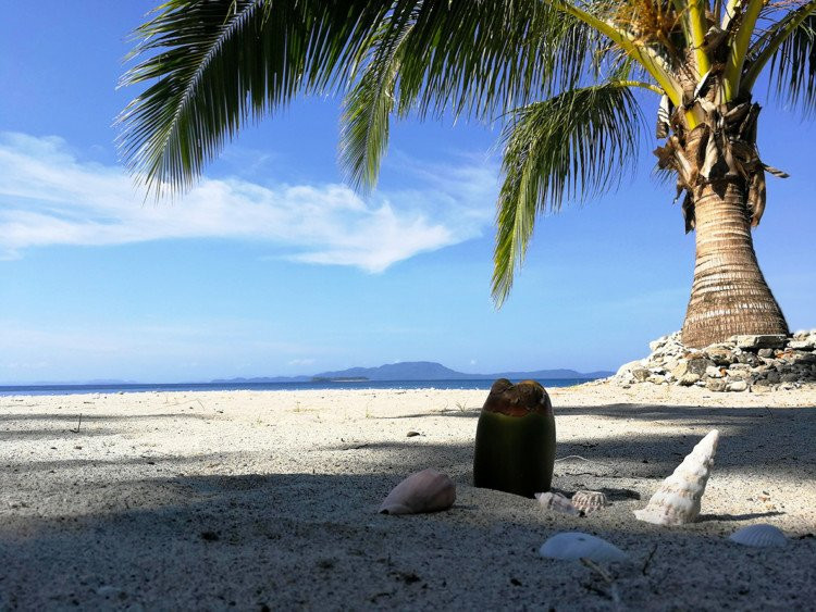 艾尔蒙特海滩度假村主图