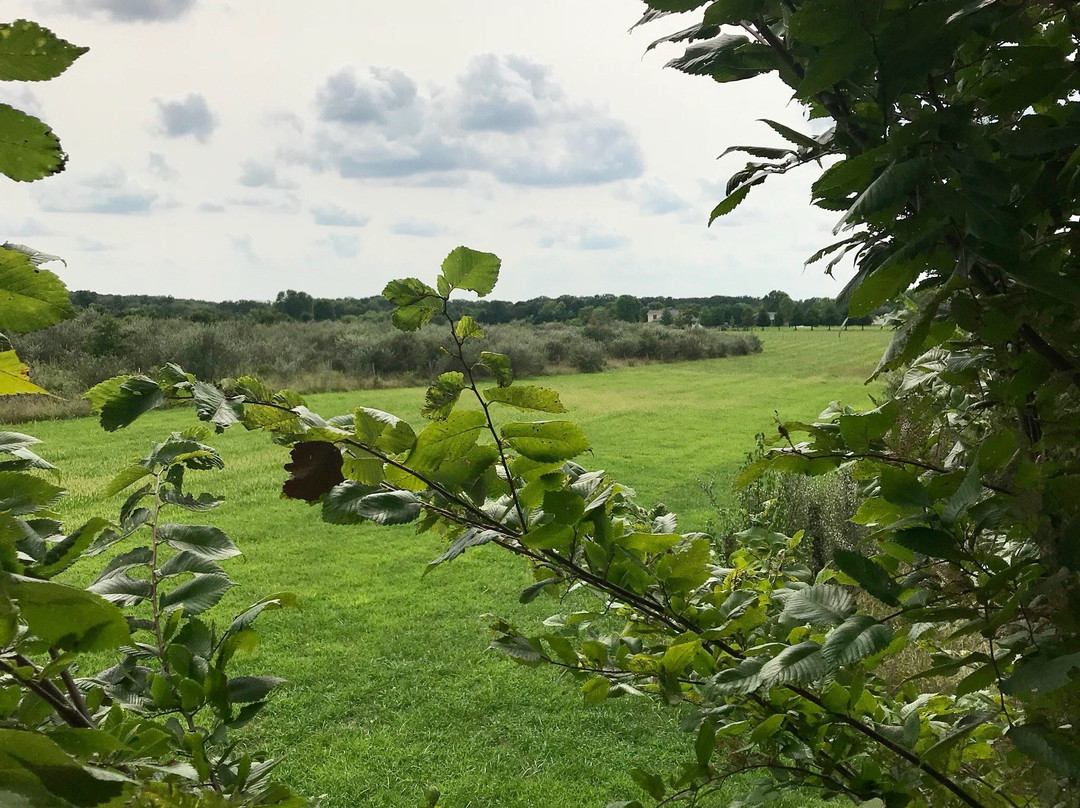 Three Squirrels Winery-Saint James必去景点