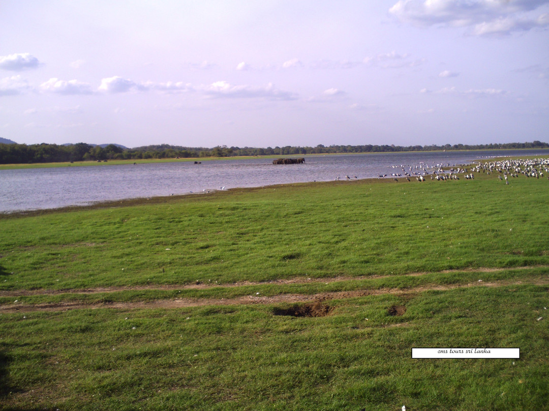 CMS Tours-科伦坡必去景点