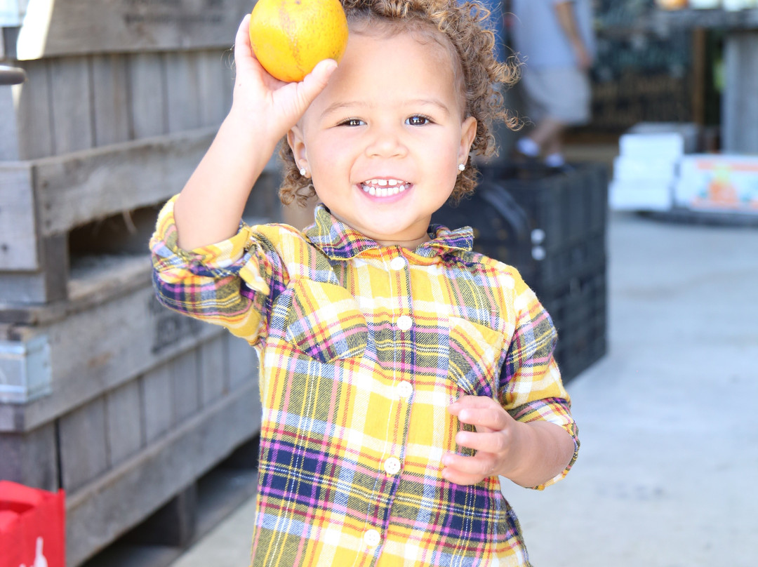 Joshua Citrus-阿卡迪亚必去景点