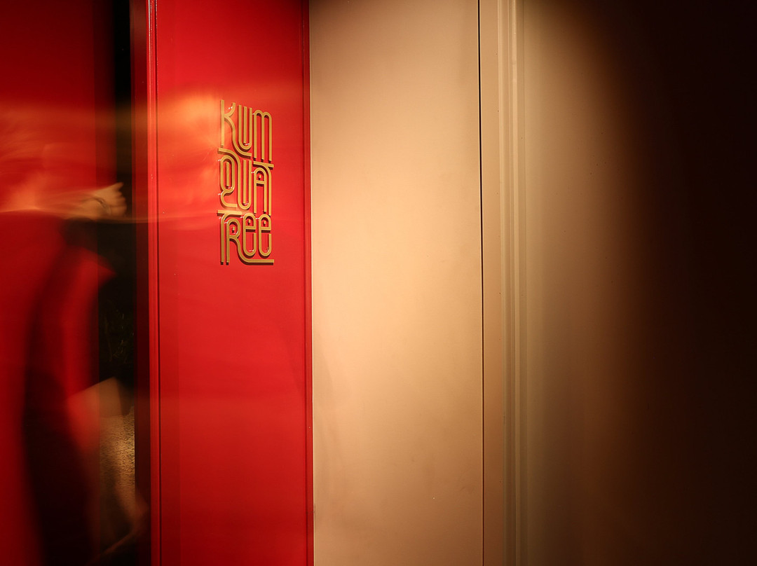 Kumquat Tree-河内必去景点