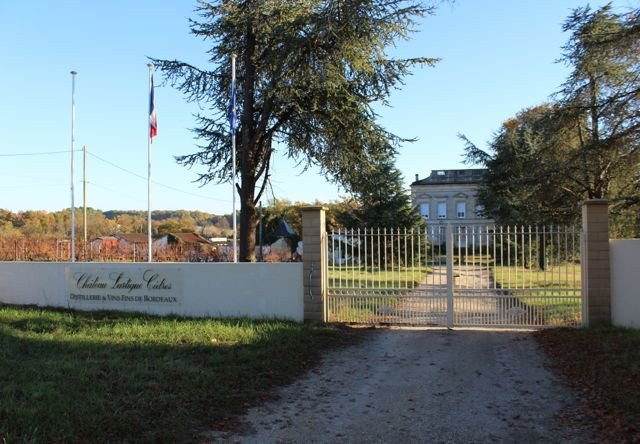 Château Lartigue Cedres景点图片