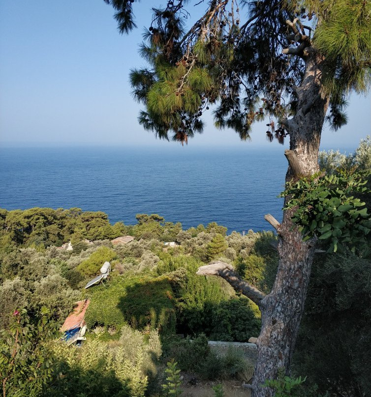 Seaview Faralya Butik Otel主图