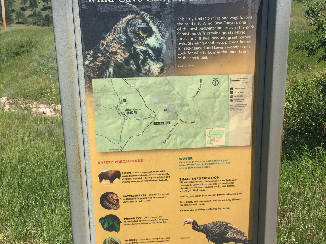 Wind Cave Canyon Trail-Wind Cave National Park必去景点