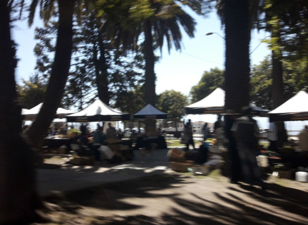 Plaza Bismark-瓦尔帕莱索必去景点