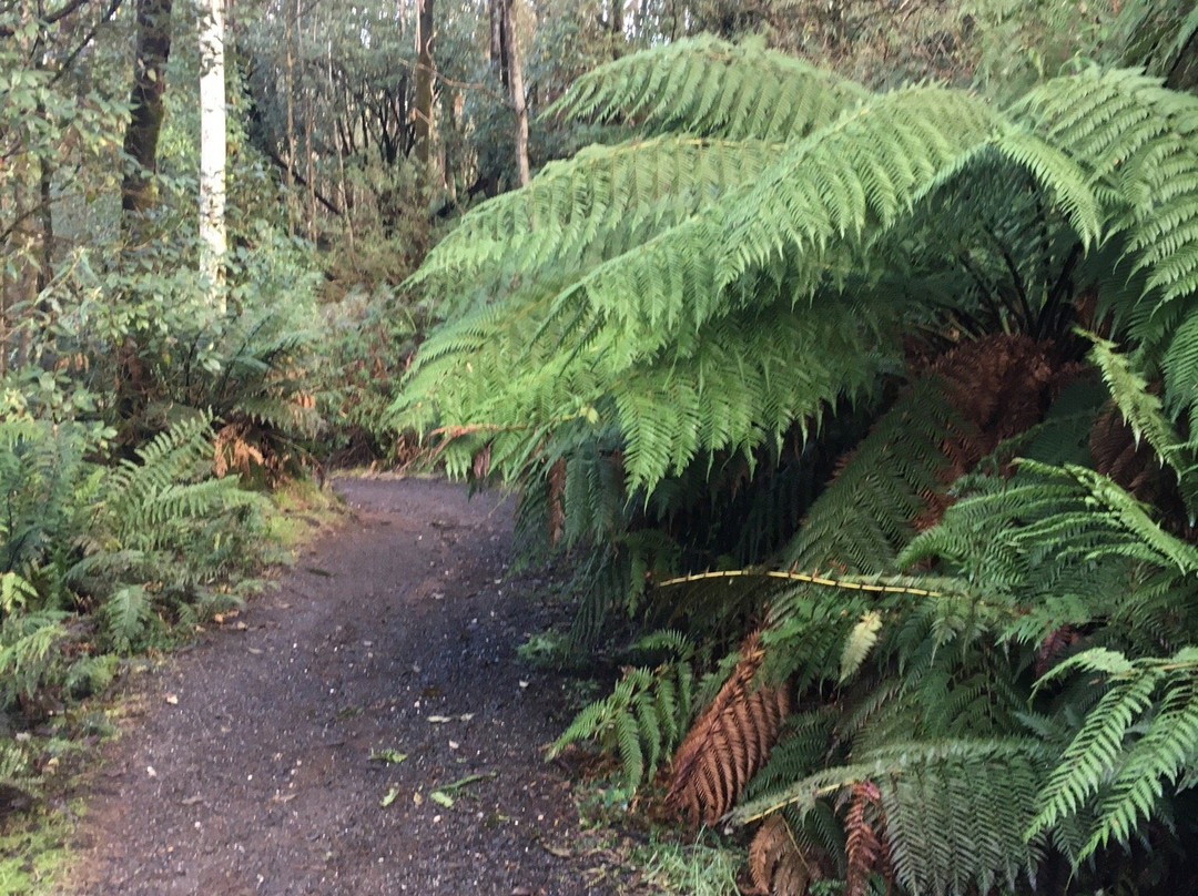 Camel's Hump-马其顿山必去景点