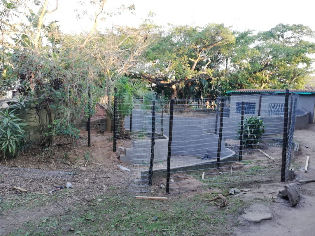 Dolphin Coast Reptile Park and Educational Centre景点图片
