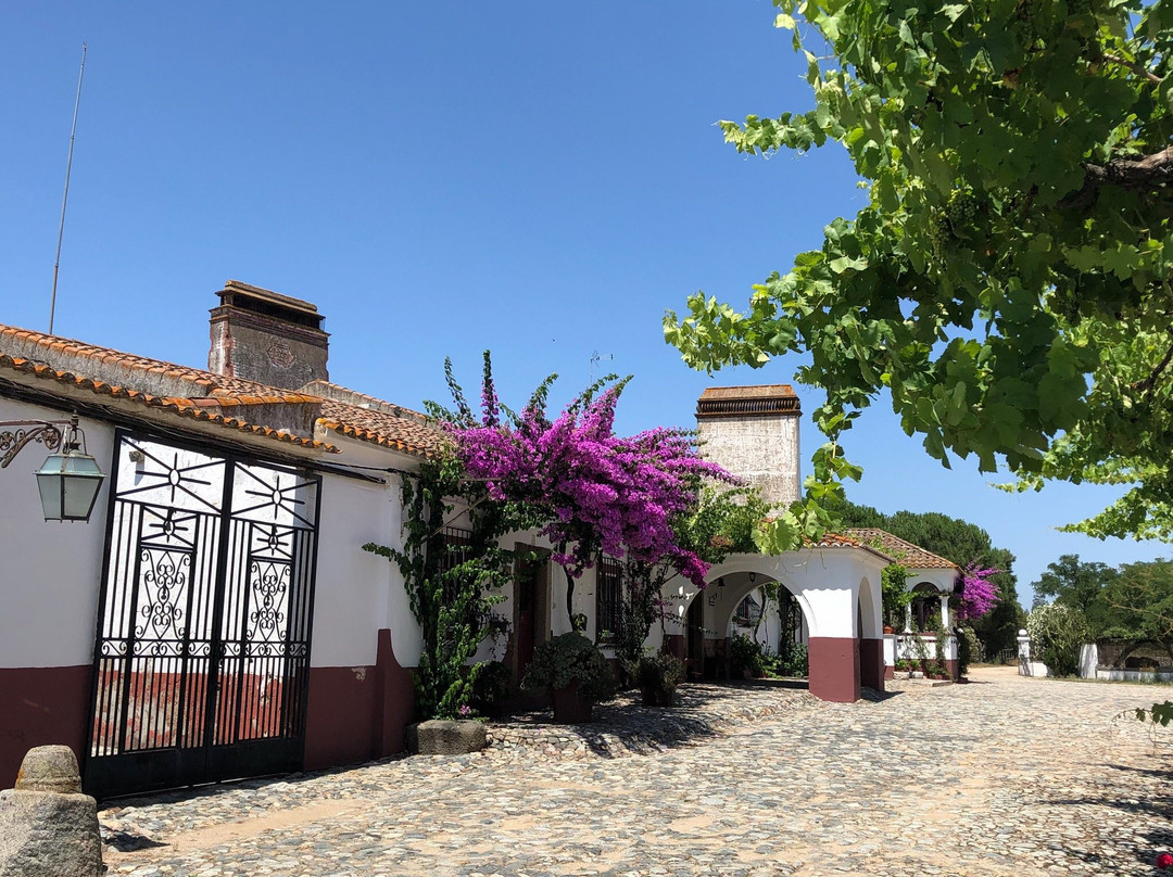 Monte Das Oliveiras主图