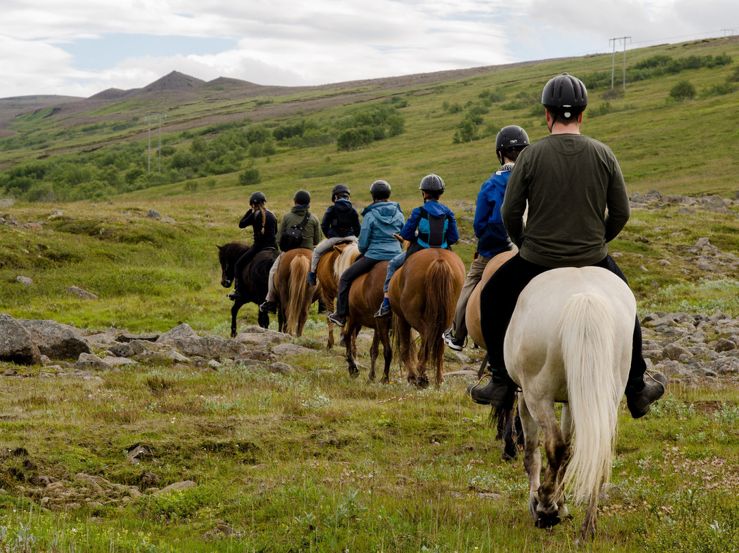 Eyjardalsa-胡萨维克必去景点