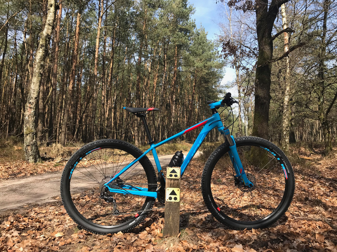Mountainbike Experience Arnhem-阿纳姆必去景点