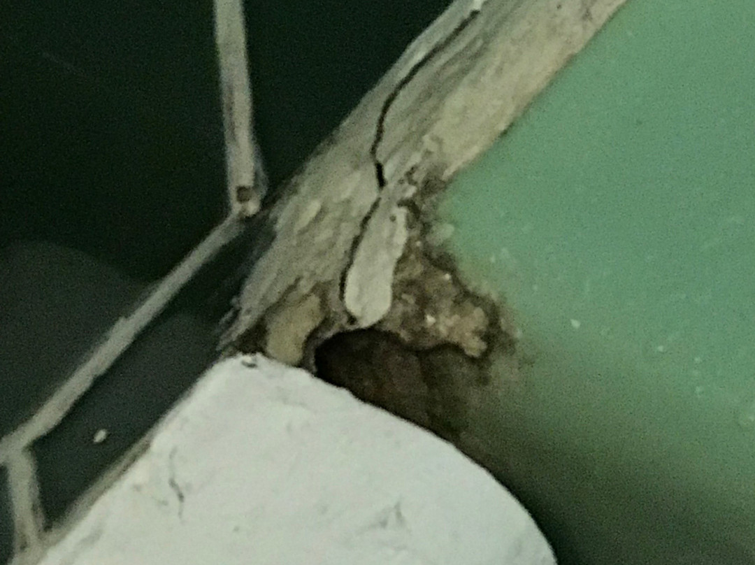 Farmington Motel主图