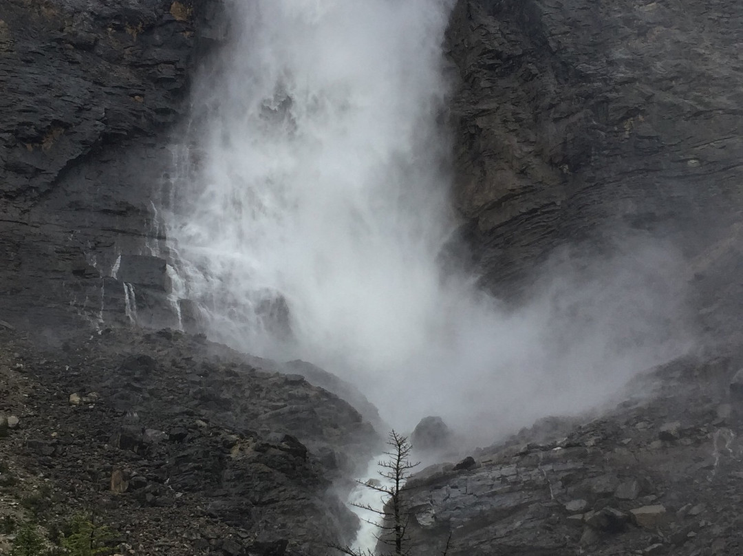 Mt Burgess Guesthouse主图