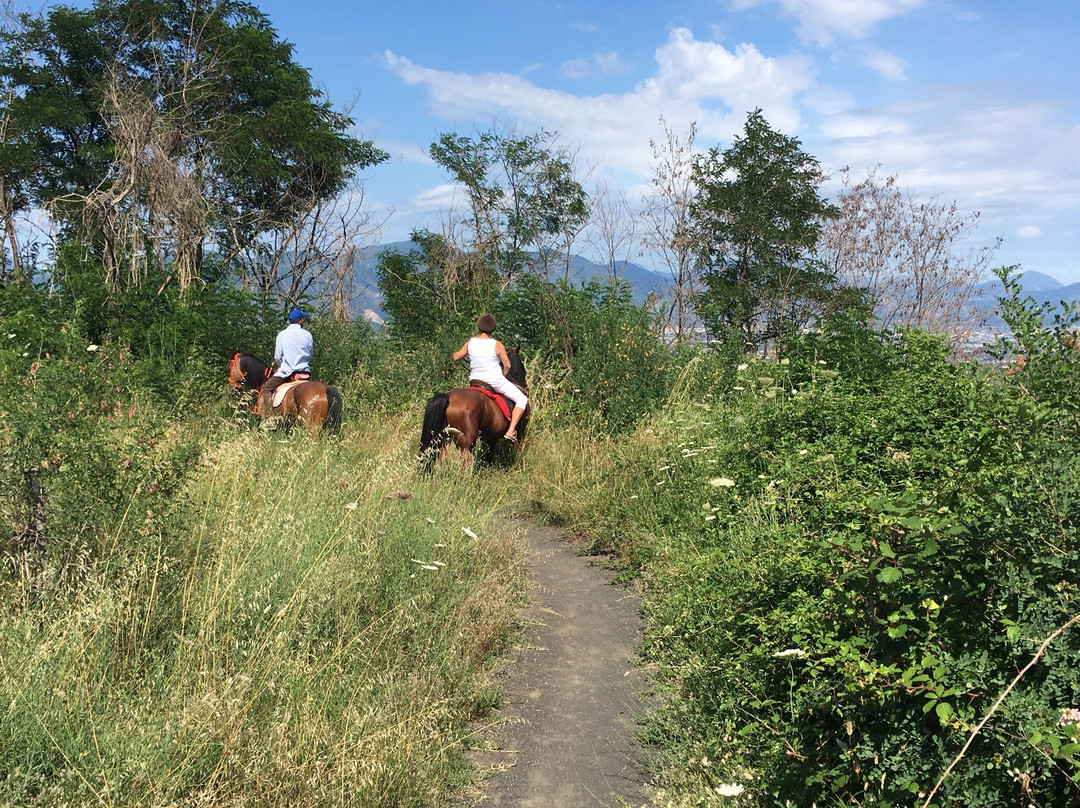 Horses Land Vesuvio景点图片