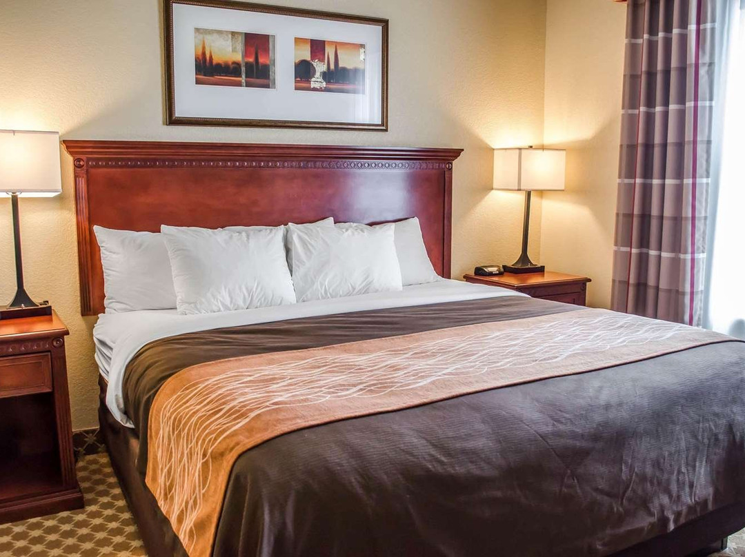 Comfort Inn & Suites Mobile Near Eastern Shore Centre主图