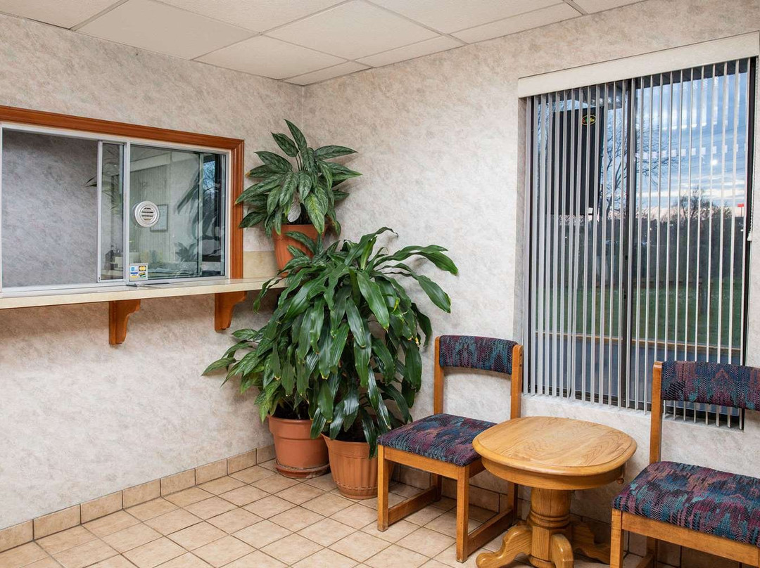 Super 8 by Wyndham Burlington NC主图