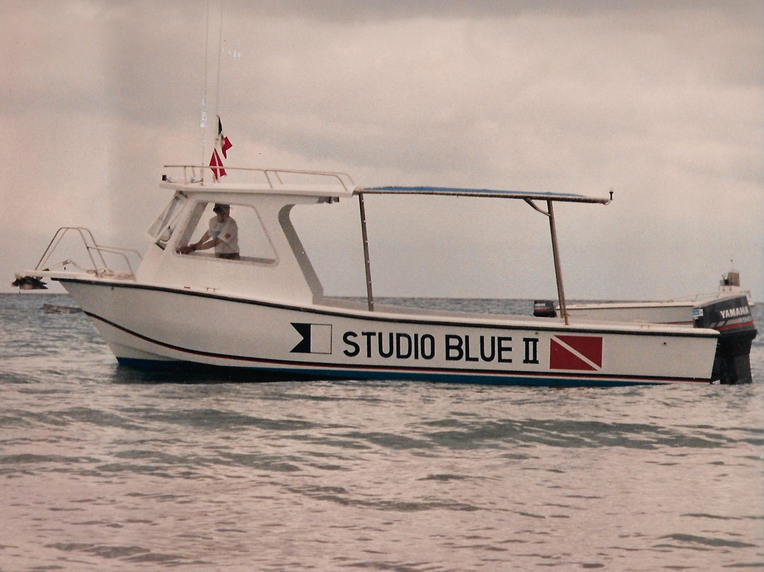 Studio Blue Cozumel Divers-考祖梅必去景点