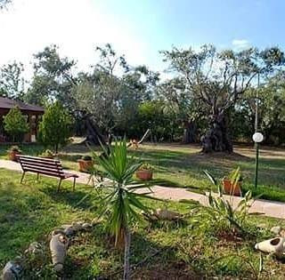 La Piana degli Ulivi主图