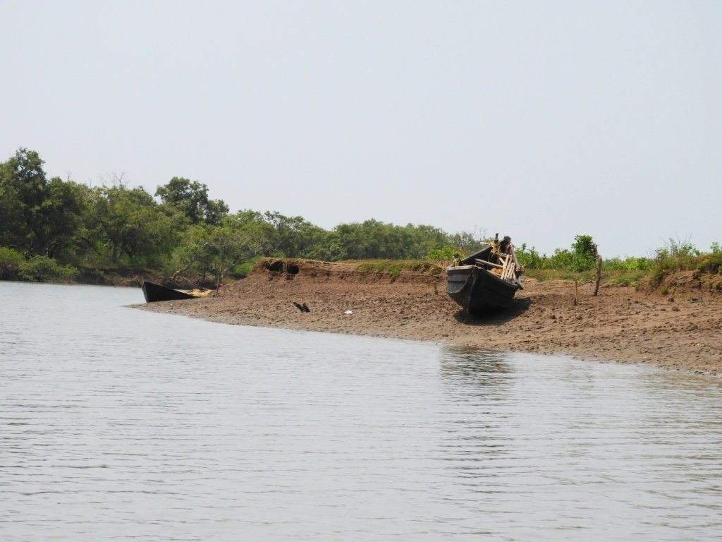 Bichitrapur Mangrove Reserve景点图片
