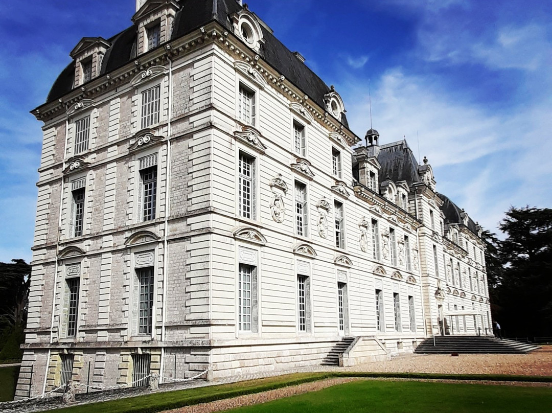 Au Coeur des châteaux