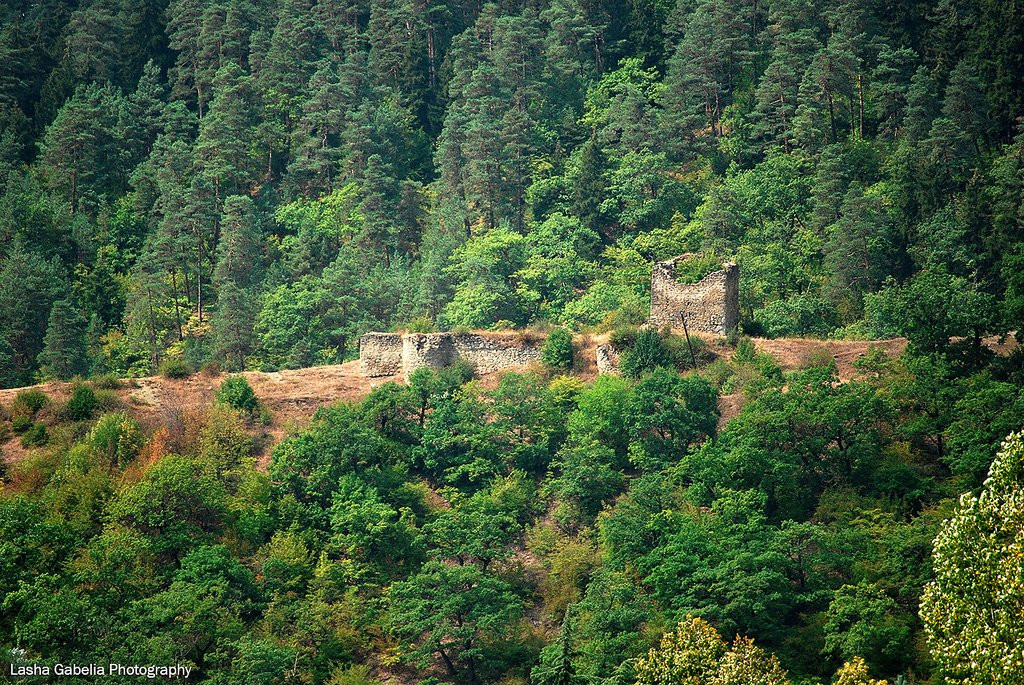 Borjomi旅游景点-Gogia Fortres