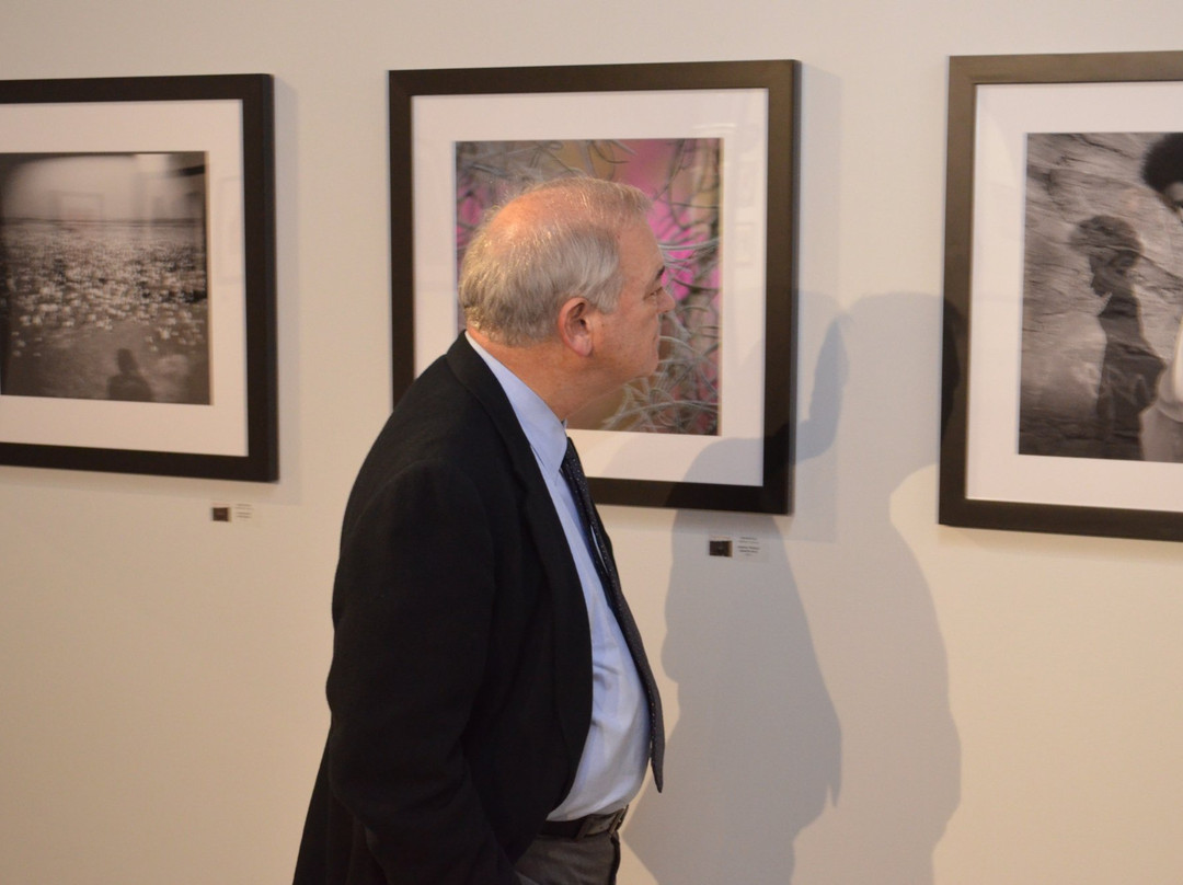 Albany Museum of Art-奥尔巴尼必去景点