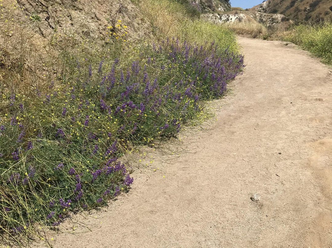 Stough Canyon Nature Center-伯班克必去景点
